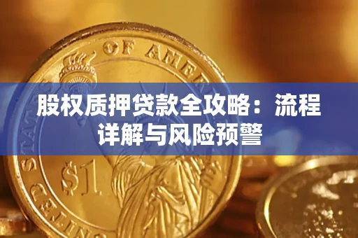 济南股权质押贷款全攻略：流程详解与风险预警