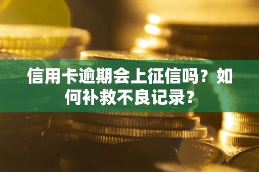 济南信用卡逾期会上征信吗？如何补救不良记录？