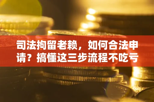 济南司法拘留老赖，如何合法申请？搞懂这三步流程不吃亏！