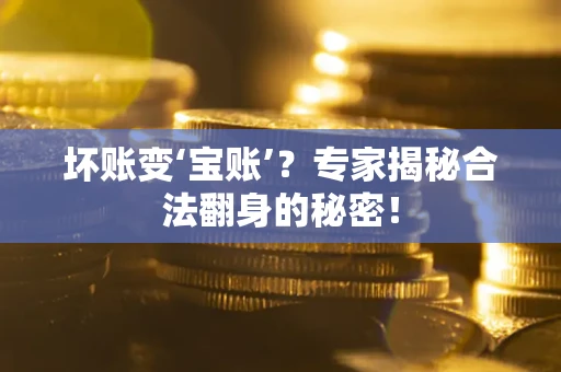 济南坏账变‘宝账’？专家揭秘合法翻身的秘密！