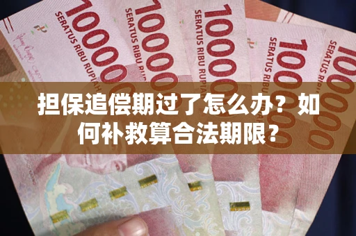 济南担保追偿期过了怎么办？如何补救算合法期限？