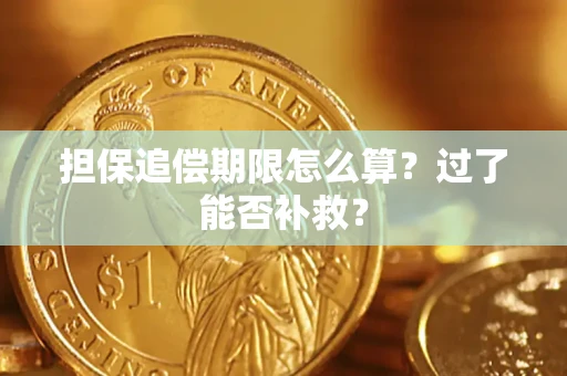 济南担保追偿期限怎么算？过了能否补救？